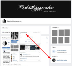 Realistbloggerskan