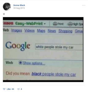 Realistbloggerskan
