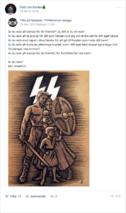 Realistbloggerskan