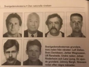 Det började bra Sverigedemokraterna
