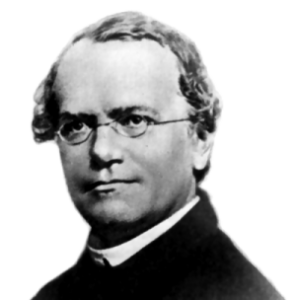 Mendelska sällskapet Gregor Mendel