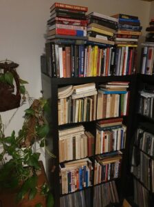 Polimasaren Sverigedemokraterna Rasism