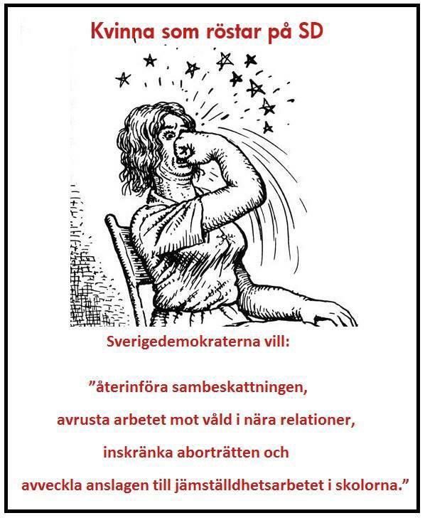 Sverigedemokraternas kvinnofientliga politik