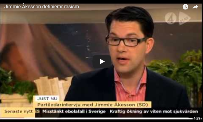 Varför Åkesson inte anser sig vara rasist
