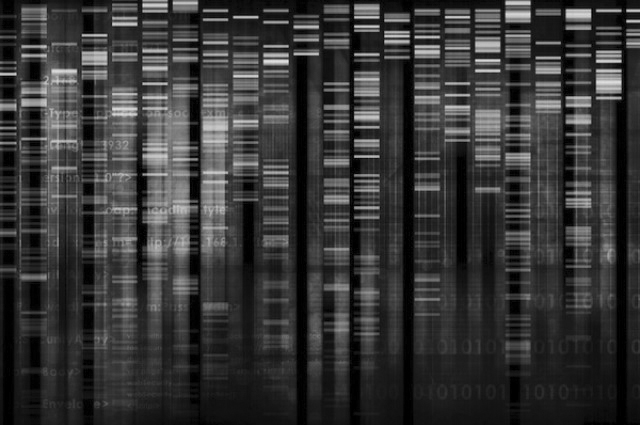 Sverigedemokraterna och DNA, biologiska släktdrag och genetiska egenskaper