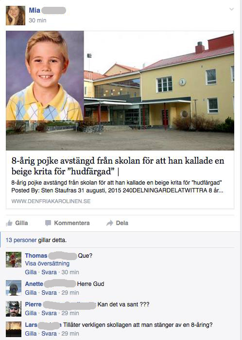 Det sinnessjuka Sverige
