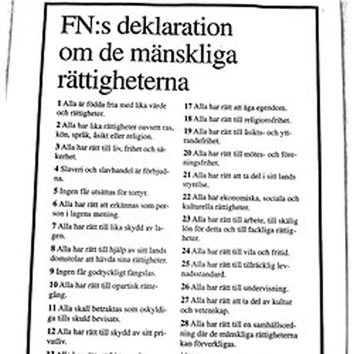 Sverigedemokraterna vill bryta mot grundlagen & Mänskliga rättigheterna