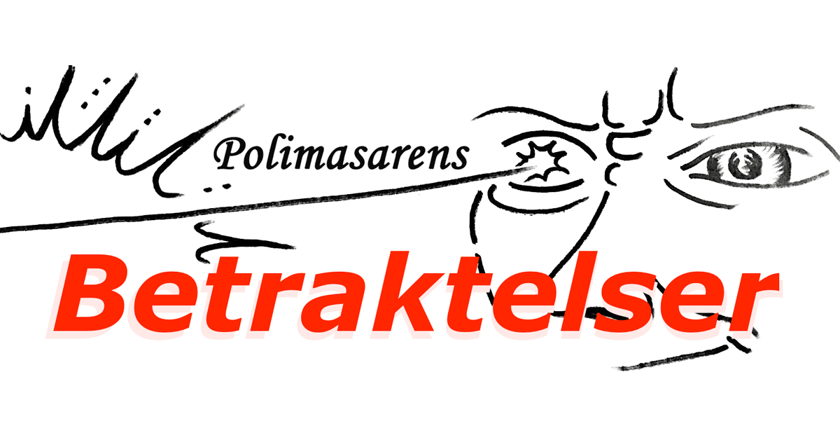 Polimasarens betraktelser: Sverigedemokraternas principprogram 9