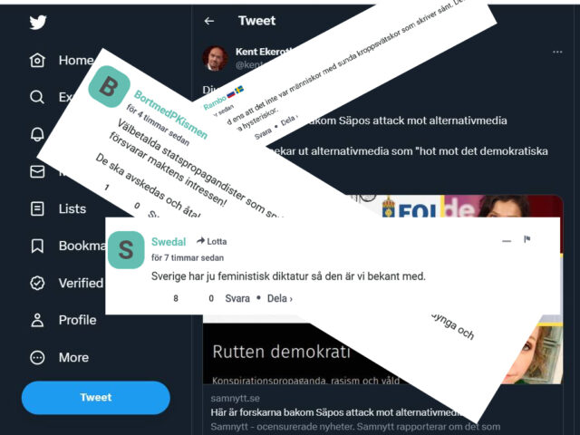 ”Sverigevännerna” pekas ut i Säpo-rapport – blir kränkta
